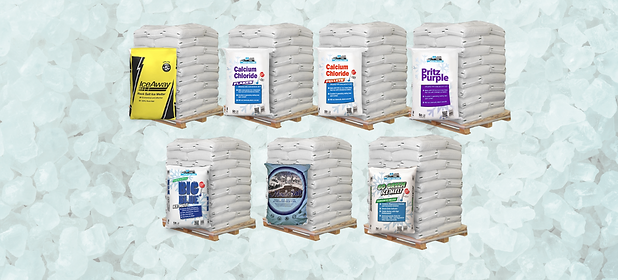 Salt Factory-Group Pallet Photo.png